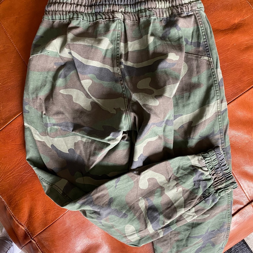 Aritzia Camo pants